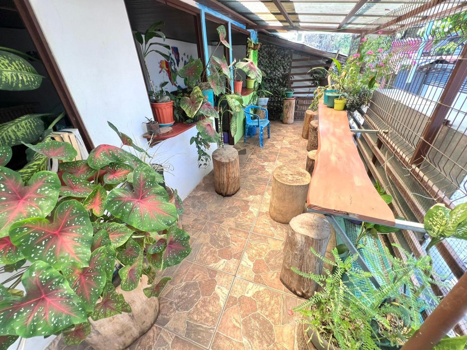 Cheap Hostel Quepos Luaran gambar